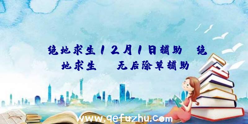 「绝地求生12月1日辅助」|绝地求生ann无后除草辅助